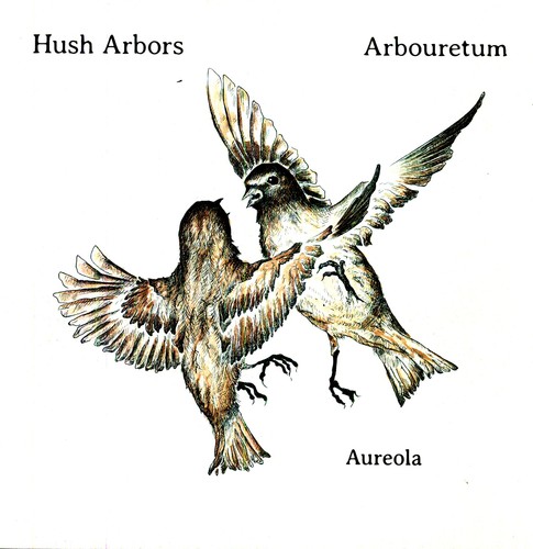 Aureola