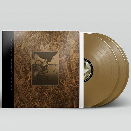 Come On Pilgrim It's Surfer Rosa