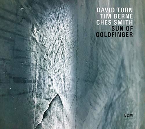 Sun of Goldfinger|David Torn/Tim Berne/Ches Smith