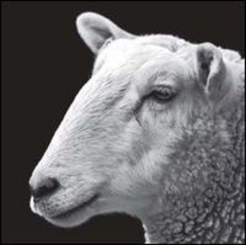 KRL - Remixes