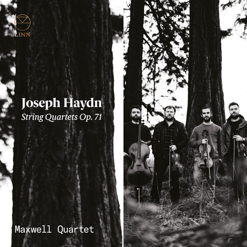 Strings Quartets 71