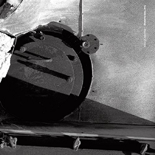 Disorder of Roots|Fear Falls Burning