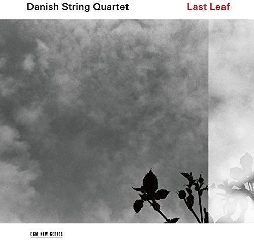 Last Leaf