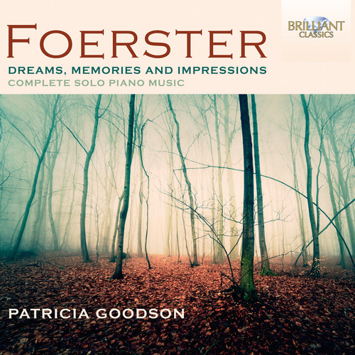 Dreams Memories & Impressions