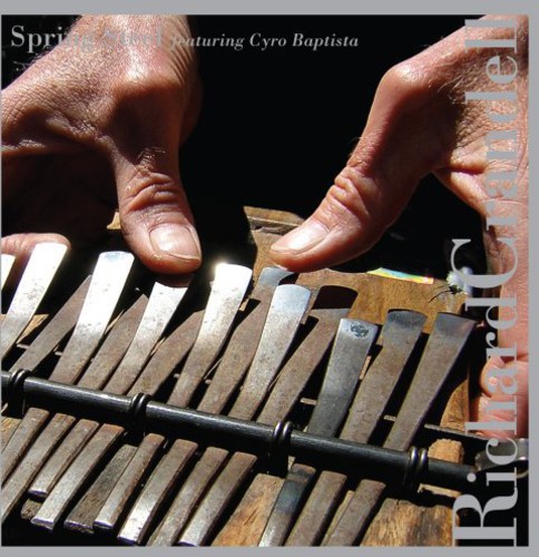Spring Steel