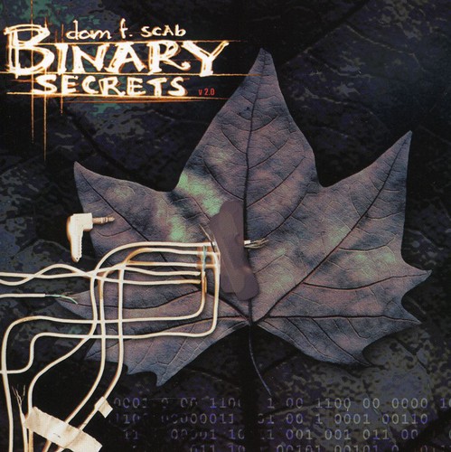 Binary Secrets|Dom F. Scab