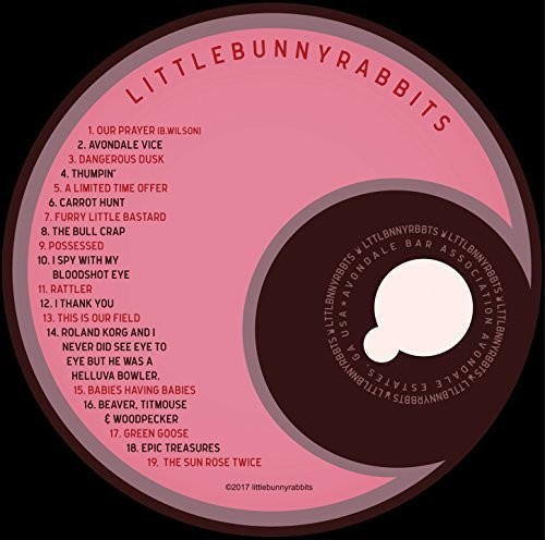 Littlebunnyrabbits