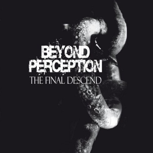 Final Descend|Beyond Perception