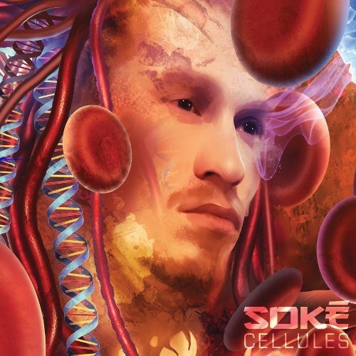 Cellules [Import]