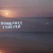Born Free Forever , Bobby Birdman