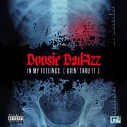 In My Feelings (Goin' Thru It) [Explicit Content] , Boosie Badazz