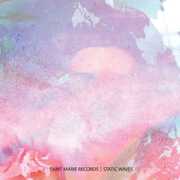 Static Waves , Various Artists