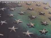 So Many Stars , Jimmy Ponder