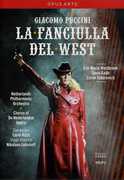 Fanciulla Del West , Lucio Gallo