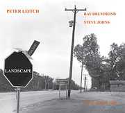 Landscape , Peter Leitch