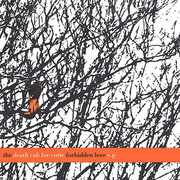 Forbidden Love , Death Cab for Cutie