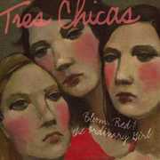 Bloom Red and The Ordinary Girl , Tres Chicas