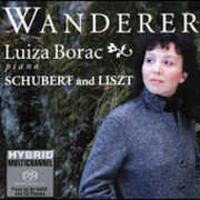 Wanderer , Luiza Borac