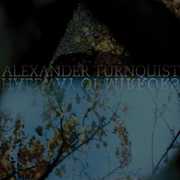 Hallway of Mirrors , Alexander Turnquist