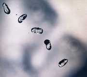 Up , Peter Gabriel