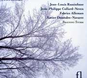 Braining Storm , Fabrice Alleman
