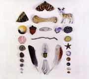 Flickering Flashlight [Import] , Adam & the Amethysts