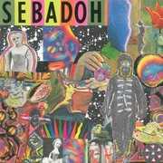 Smash Your Head on the Punk Rock , Sebadoh