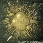 Ideal Free Distribution , Ideal Free Distribution