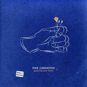 Speed Up Your Heart , Pixie Carnation