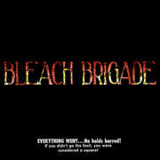 Bleach Brigade , We Are Hex