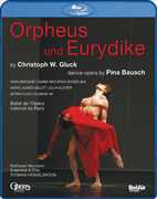 Orpheus Und Eurydice , Julia Kleiter