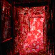 Asylum , Elimi