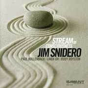 Stream of Consciousness , Jim Snidero