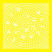 Luce , Ilario Alicante