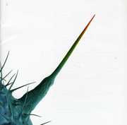 And I'll Scratch Yours , Various Artists