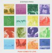 Push Comes to Love , Stephen Prina