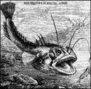 A Priori , Ruede Hagelstein