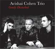 Gently Disturbed , Avishai Cohen