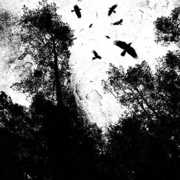 Gone , Autumn's Dawn