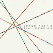 Music For Chameleons , Jesse Harris