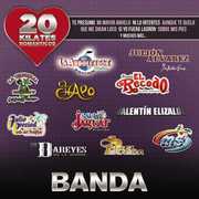 20 Kilates Romanticos Banda , Various Artists