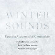 Winter Sounds