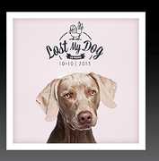 Lost My Dog 10x10 - 2013 , Various Artists