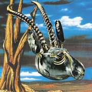 Jehovah Surrender , The Skygreen Leopards