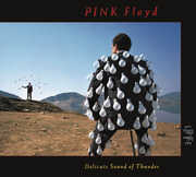 Delicate Sound Of Thunder (Live) , Pink Floyd
