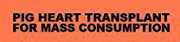 For Mass Consumption , Pig Heart Transplant