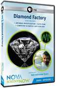 Nova: Science Now 2009 - Episode 1 - Diamond Factory , Neil DeGrasse Tyson