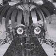 Entomological Reflections , Mephista