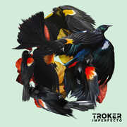 Imperfecto , Troker