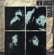 Friday Night in America , New Grass Revival